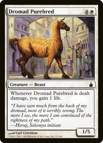{C} Dromad Purebred [Ravnica: City of Guilds][RAV 015]