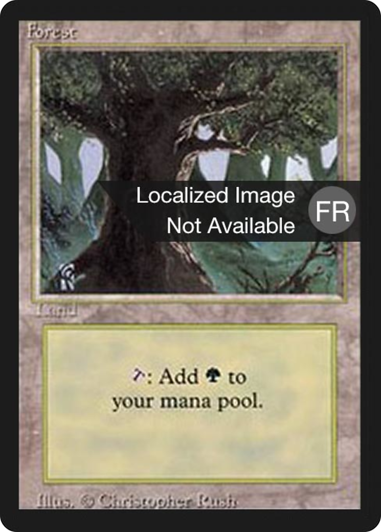 {B}[FBB 3ED 304] Forest (A) [Foreign Black Border]