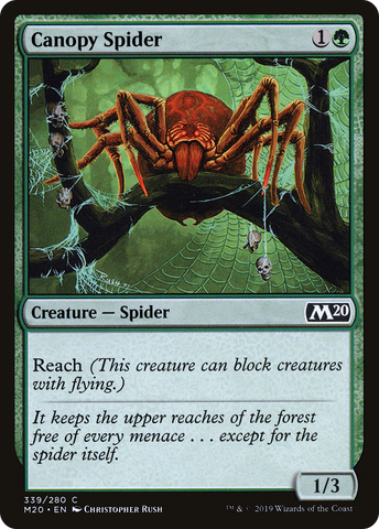 {C} Canopy Spider [Core Set 2020][M20 339]