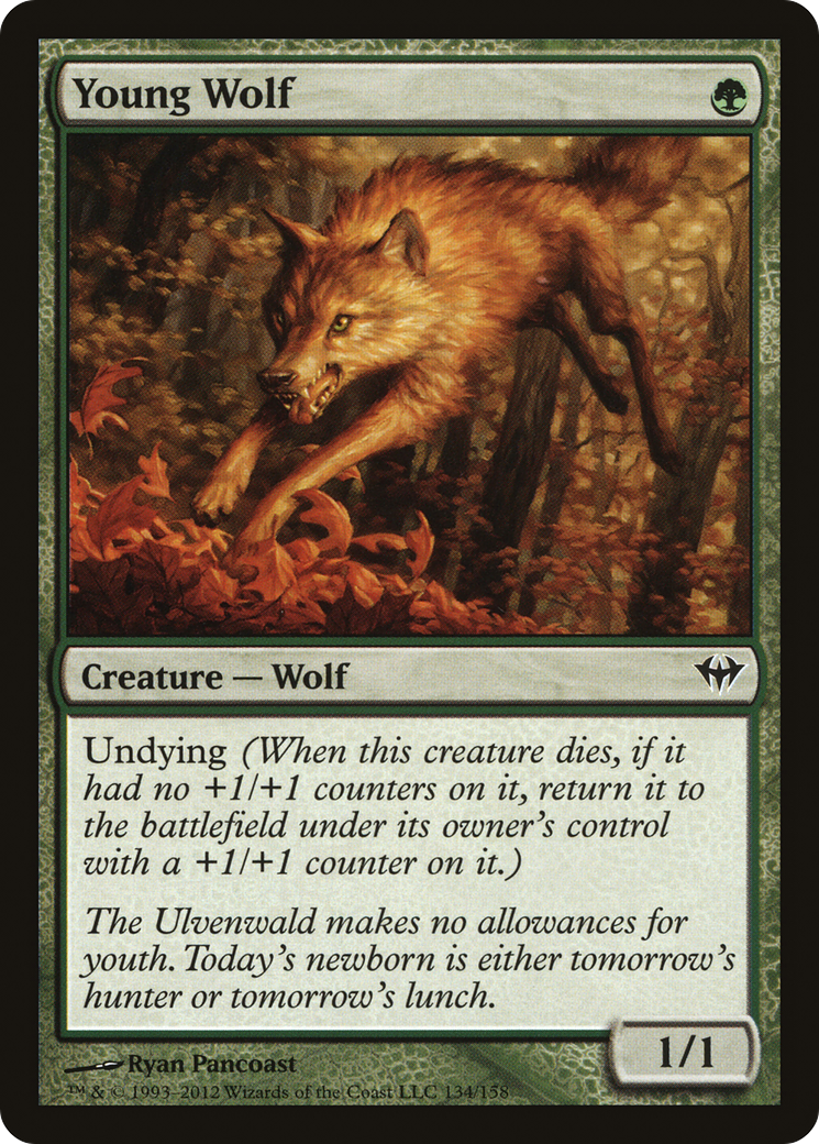 {C} Young Wolf [Dark Ascension][DKA 134] - Misty Mountain Games