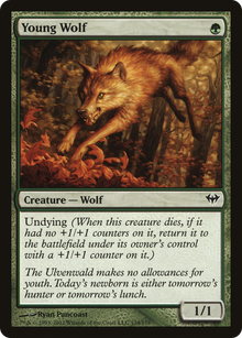 {C} Young Wolf [Dark Ascension][DKA 134] - Misty Mountain Games