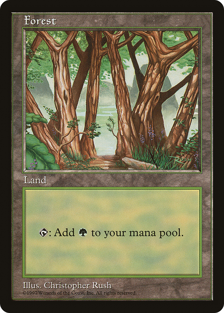 {B}[PA PALP 006] Forest (6) [Asia Pacific Land Program]