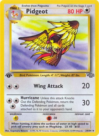 [PKM] Pidgeot (24/64) [Jungle 1st Edition]