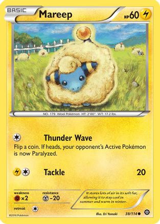[PKM] Mareep (38/114) [XY: Steam Siege]