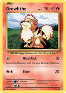 [PKM-C] Growlithe (17/108) [XY: Evolutions]