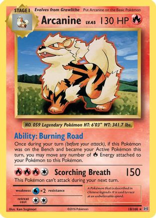 [PKM-R] Arcanine (18/108) [XY: Evolutions]
