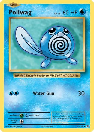 [PKM-C] Poliwag (23/108) [XY: Evolutions]
