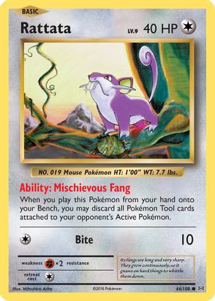 [PKM] Rattata (66/108) [XY: Evolutions]