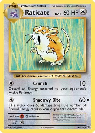 [PKM] Raticate (67/108) [XY: Evolutions]