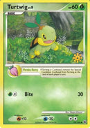 [PKM-R] Turtwig (78/100) [Countdown Calendar Promos]