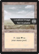 {B}[FBB 3ED 294] Plains (C) [Foreign Black Border]