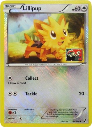[PKM] Lillipup (81/114) (League Promo) [Black & White: Base Set]