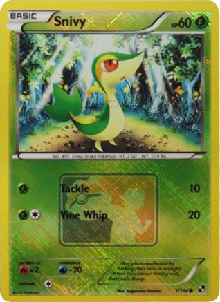 [PKM] Snivy (1/114) (League Promo) [Black & White: Base Set]