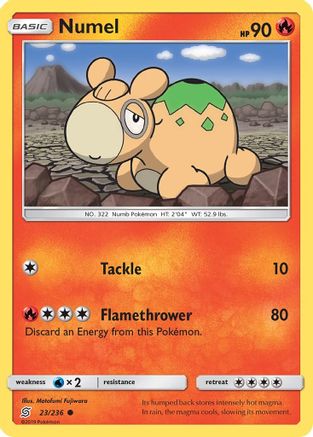 [PKM-C] Numel (23/236) [Sun & Moon: Unified Minds]