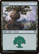 {B}[DMU 275] Forest (275) [Dominaria United]