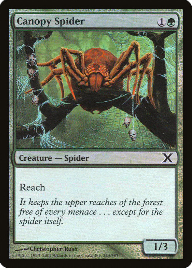 {C} Canopy Spider (Premium Foil) [Tenth Edition][FP 10E 254]