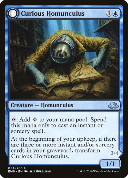 {C} Curious Homunculus // Voracious Reader [Eldritch Moon][EMN 054] - Misty Mountain Games