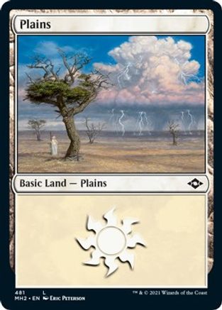 {B} Plains (481) (Foil Etched) (Foil) [Modern Horizons 2] [MH2 481]