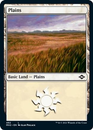 {B} Plains (482) (Foil Etched) (Foil) [Modern Horizons 2] [MH2 482]