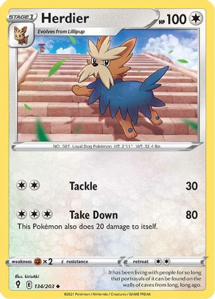 [PKM-C] Herdier (134/203) [Sword & Shield: Evolving Skies]