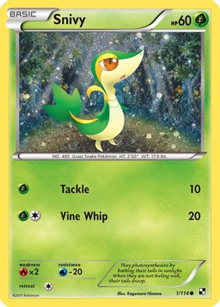 [PKM] Snivy (1/114) (Cosmos Holo) [Black & White: Base Set]