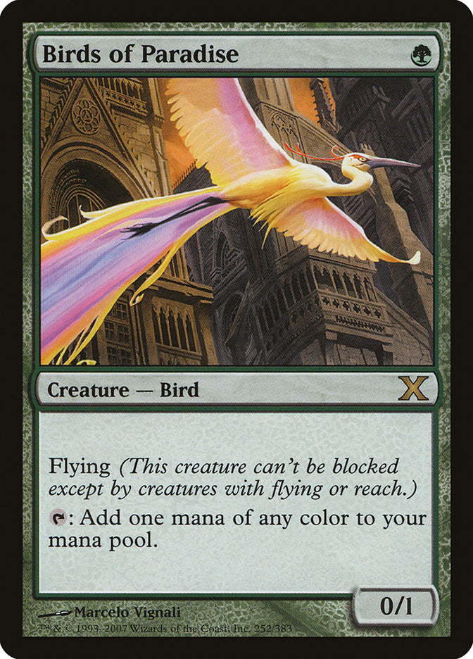 {R} Birds of Paradise [Tenth Edition][10E 252]