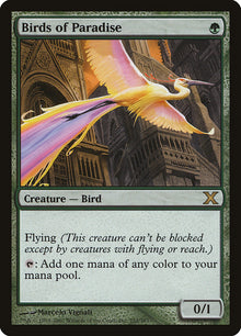 {R} Birds of Paradise [Tenth Edition][10E 252]