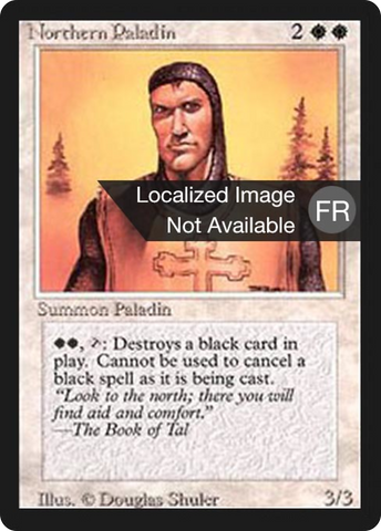 {F} Northern Paladin [Foreign Black Border][FBB 3ED 029]