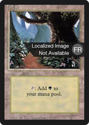 {B}[FBB 3ED 305] Forest (B) [Foreign Black Border]