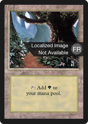 {B}[FBB 3ED 305] Forest (B) [Foreign Black Border]