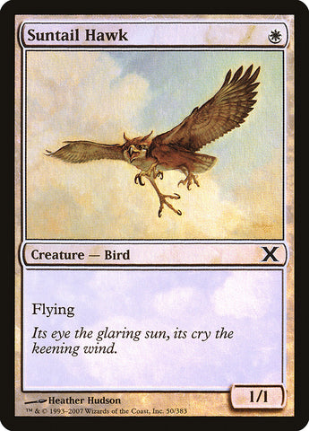 {C} Suntail Hawk (Premium Foil) [Tenth Edition][FP 10E 050]