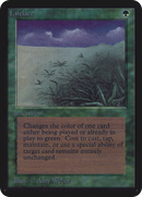 {R} Lifelace [Alpha Edition][LEA 207]