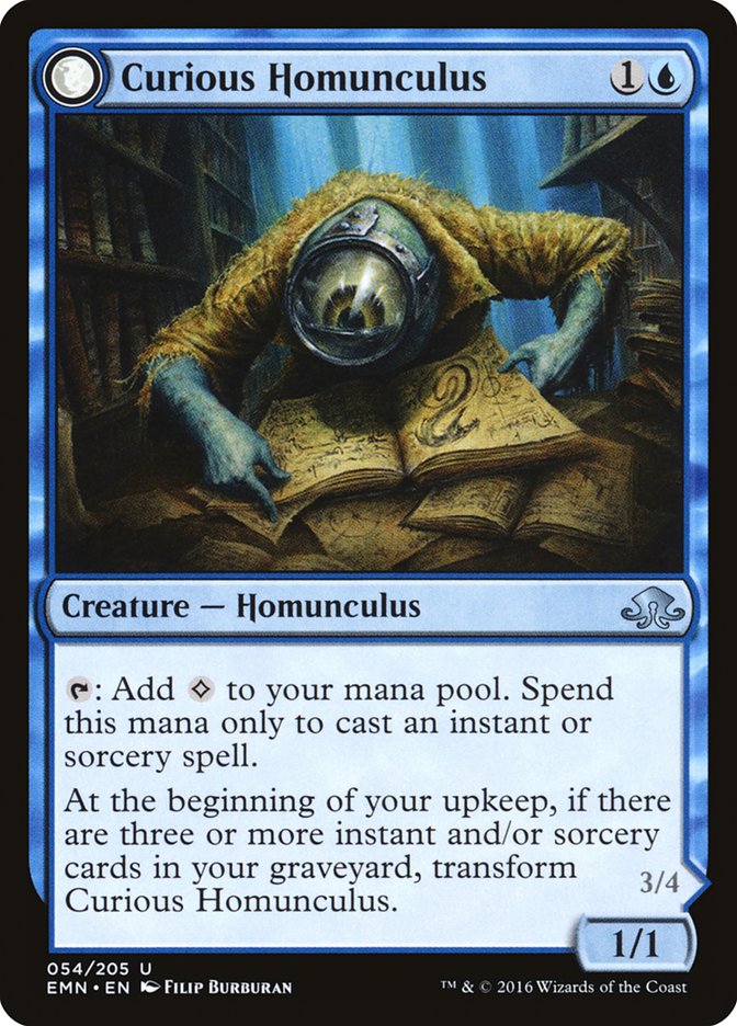 {C} Curious Homunculus // Voracious Reader [Eldritch Moon][EMN 054] - Misty Mountain Games
