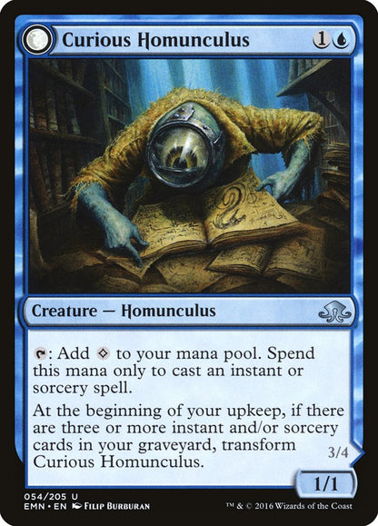 {C} Curious Homunculus // Voracious Reader [Eldritch Moon][EMN 054] - Misty Mountain Games