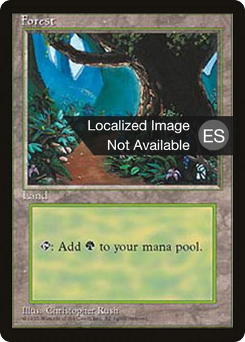 {B}[FBB 4ED 377] Forest (B) [Fourth Edition (Foreign Black Border)]