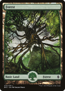 {B}[BFZ 273] Forest (273) [Battle for Zendikar]