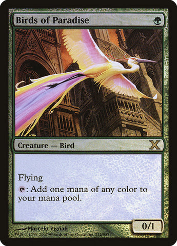 {R} Birds of Paradise (Premium Foil) [Tenth Edition][FP 10E 252]