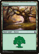 {B}[CMA 320] Forest (320) [Commander Anthology]