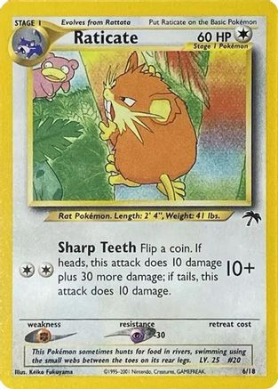 [PKM] Raticate (6/18) [Southern Islands]