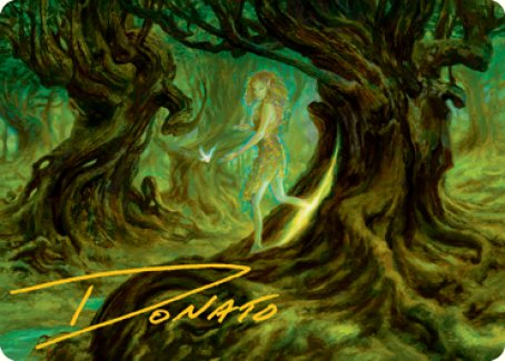 {A} Neverwinter Dryad Art Card (Gold-Stamped Signature) [Dungeons & Dragons: Adventures in the Forgotten Realms Art Series][GS AAFR 069]