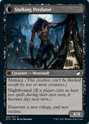 {C} Shady Traveler // Stalking Predator [Innistrad: Midnight Hunt][MID 120]