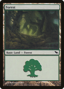 {B}[SHM 299] Forest (299) [Shadowmoor]