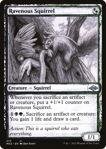 {C} Ravenous Squirrel (Sketch) [Modern Horizons 2][MH2 375]