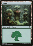 {B}[DMU 274] Forest (274) [Dominaria United]