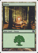 {B}[9ED 347] Forest (347) [Ninth Edition]