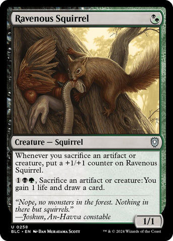 {C} Ravenous Squirrel [Bloomburrow Commander][BLC 258]