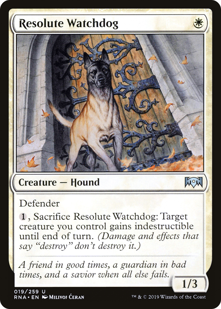 {C} Resolute Watchdog [Ravnica Allegiance][RNA 019] - Misty Mountain Games