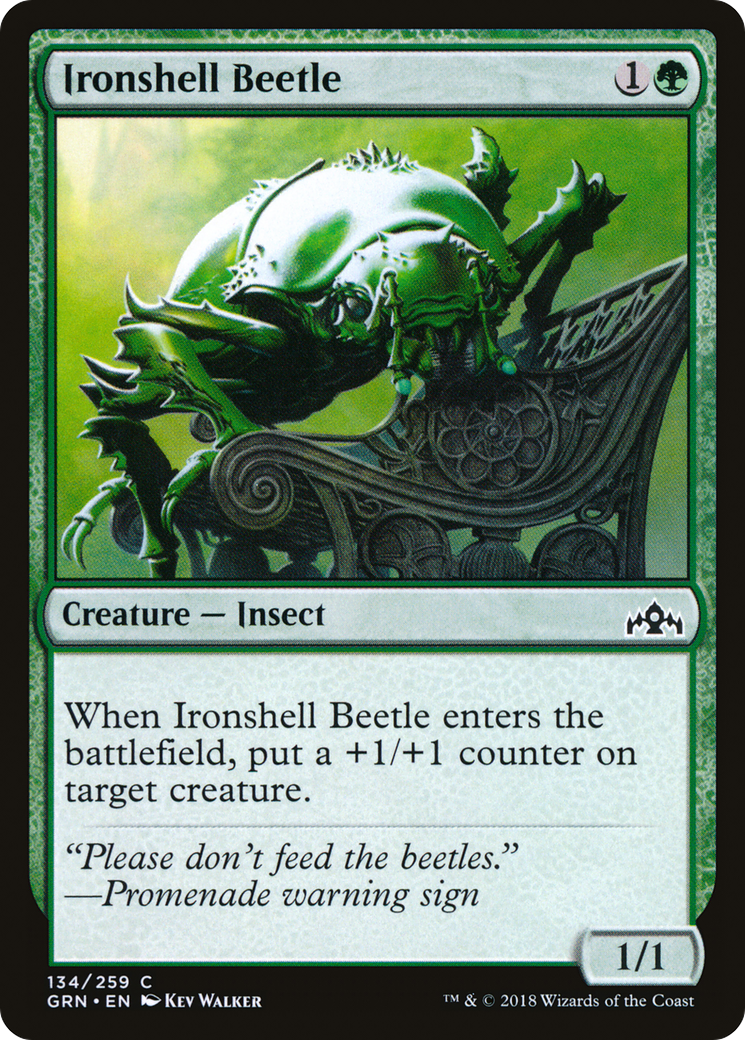 {C} Ironshell Beetle [Guilds of Ravnica][GRN 134]