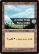 {B}[FBB 4ED 365] Plains (B) [Fourth Edition (Foreign Black Border)]
