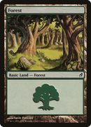 {B}[LRW 300] Forest (300) [Lorwyn]